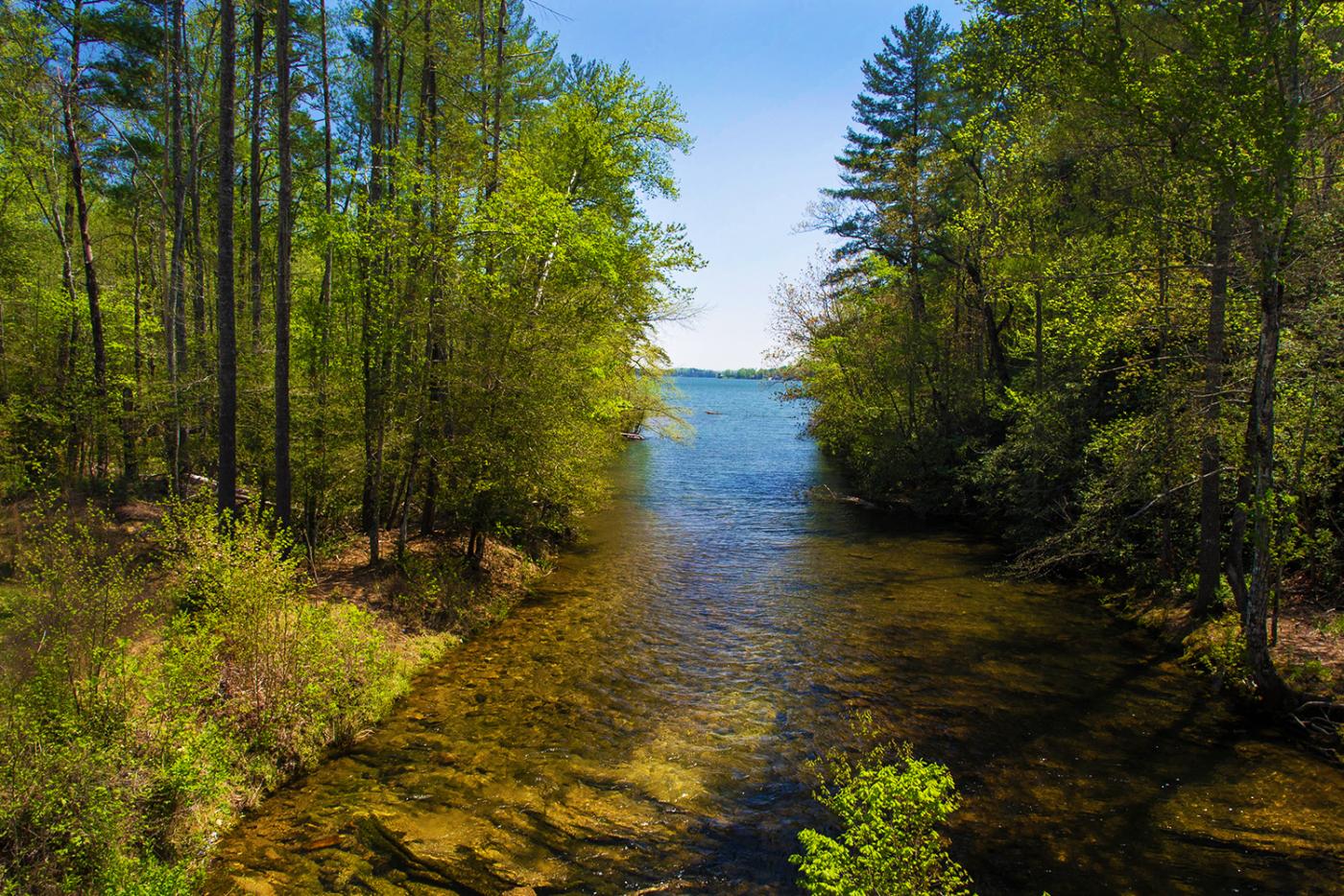 Paddy's Creek at Lake James State Park