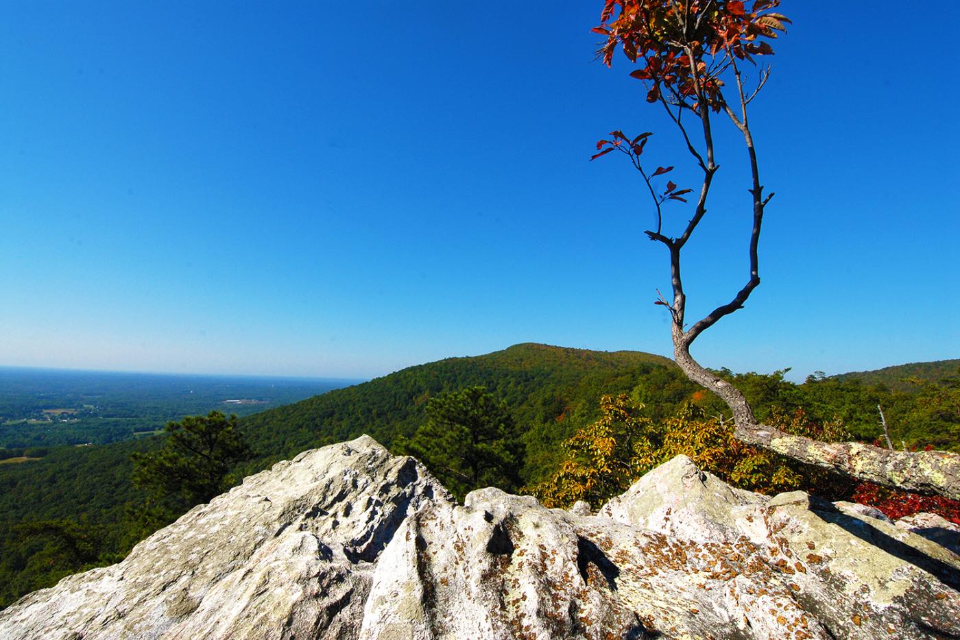 Wolf Rock at Hanging Rock State Park
