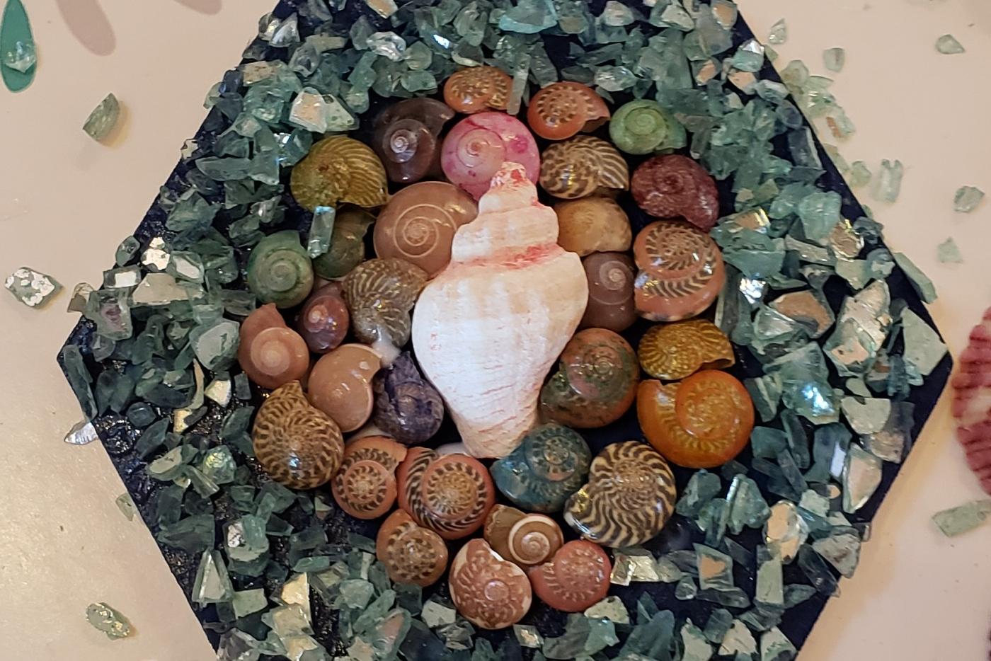 HABE - craft with shells