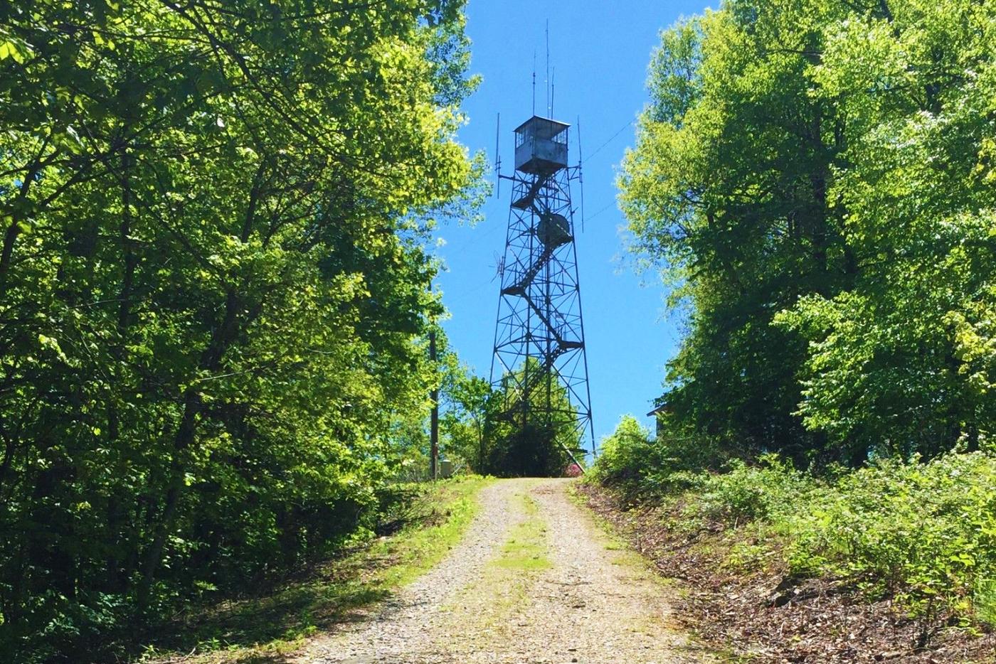 Road that leads up to the fire tower at Rendezvous Mountain