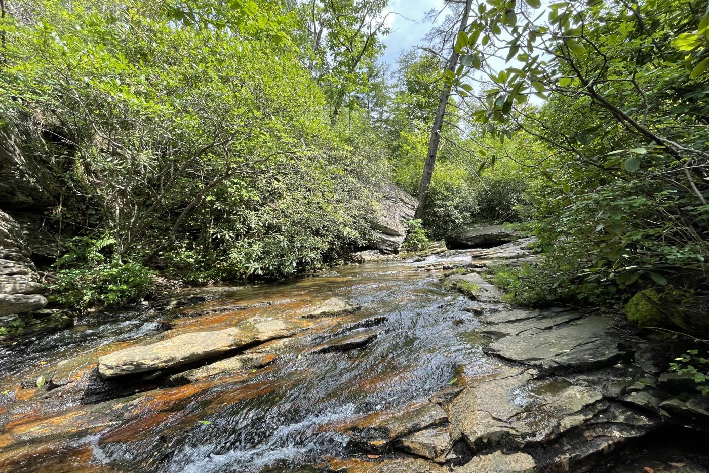 A section of at Hanging Rock State Park