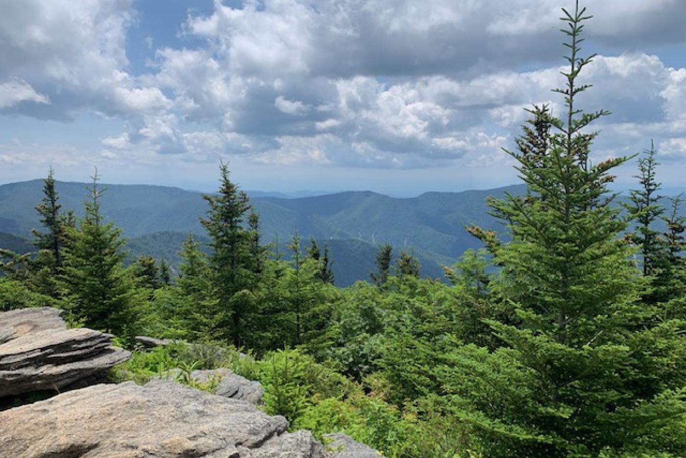 View From Mt Craig