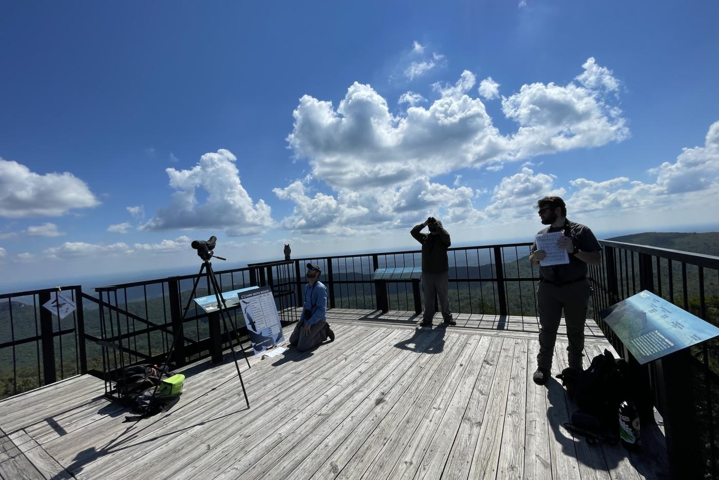 Park staff observe the sky for migrating raptors at the old Moore's Knob fire tower. 