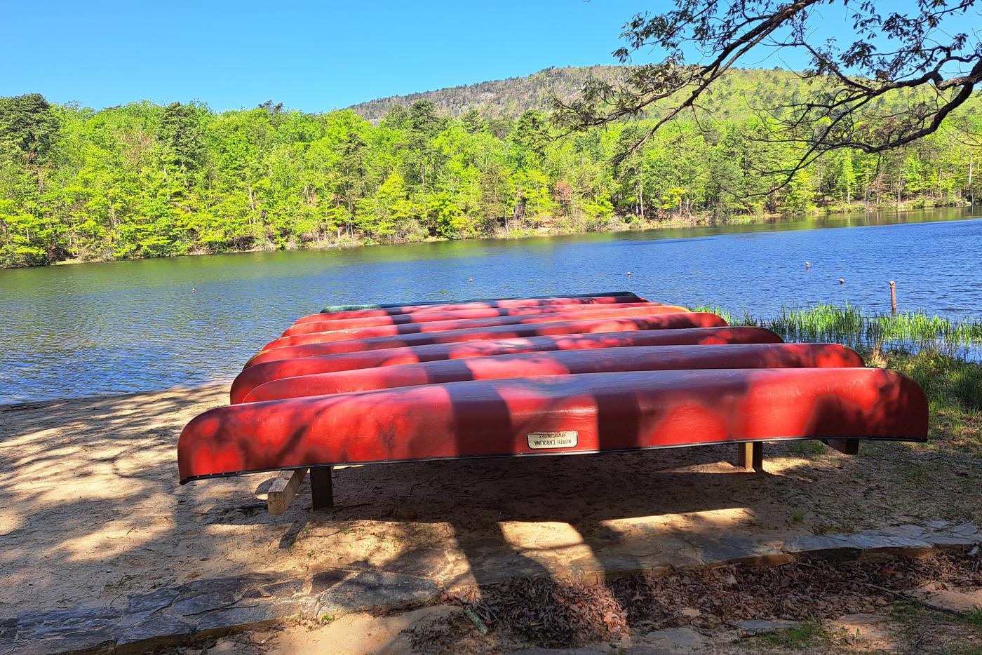 Canoes and the park's iconic lake!