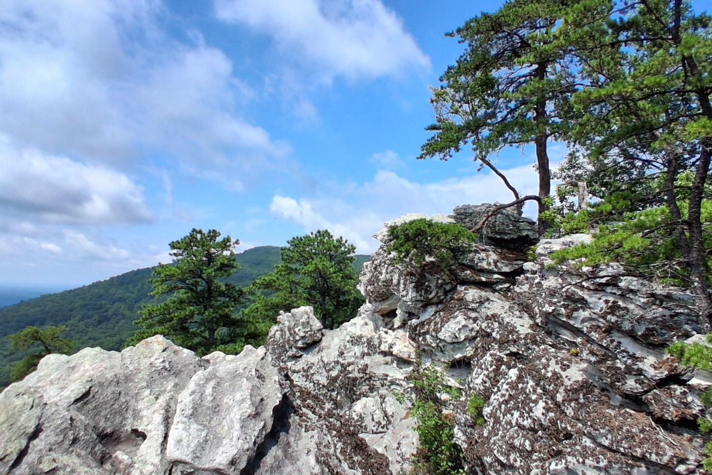 A view from Wolf Rock