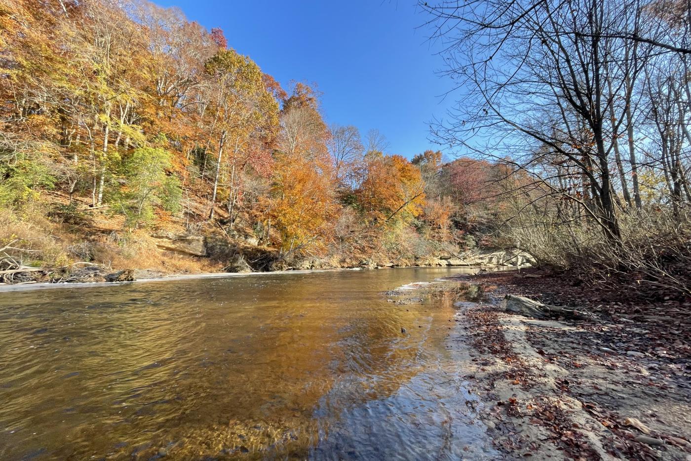 Scene from the Dan River with some fall colors!