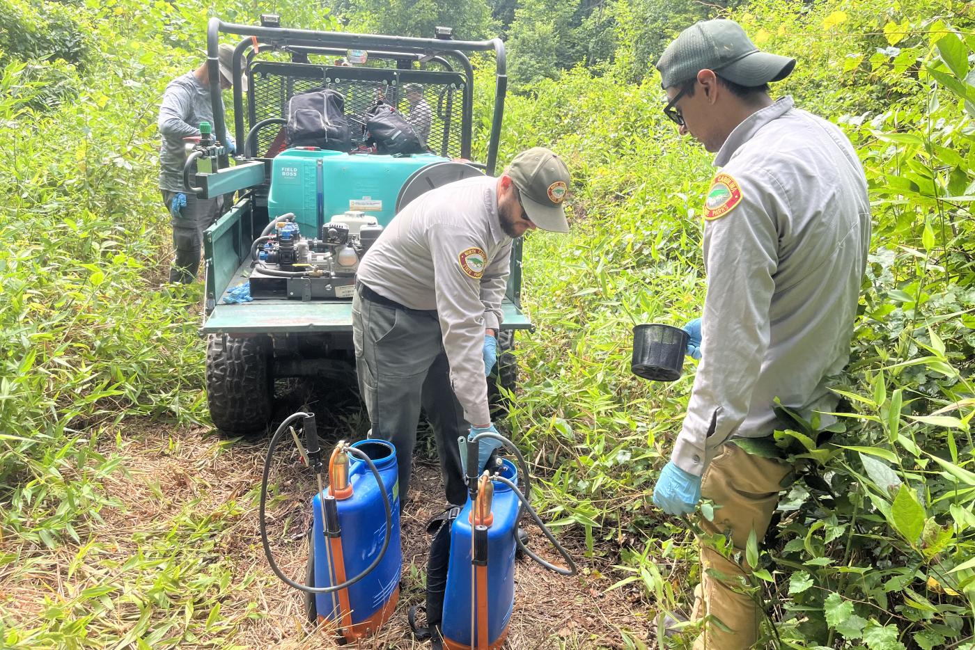 Park staff preparing to treat invasive species.