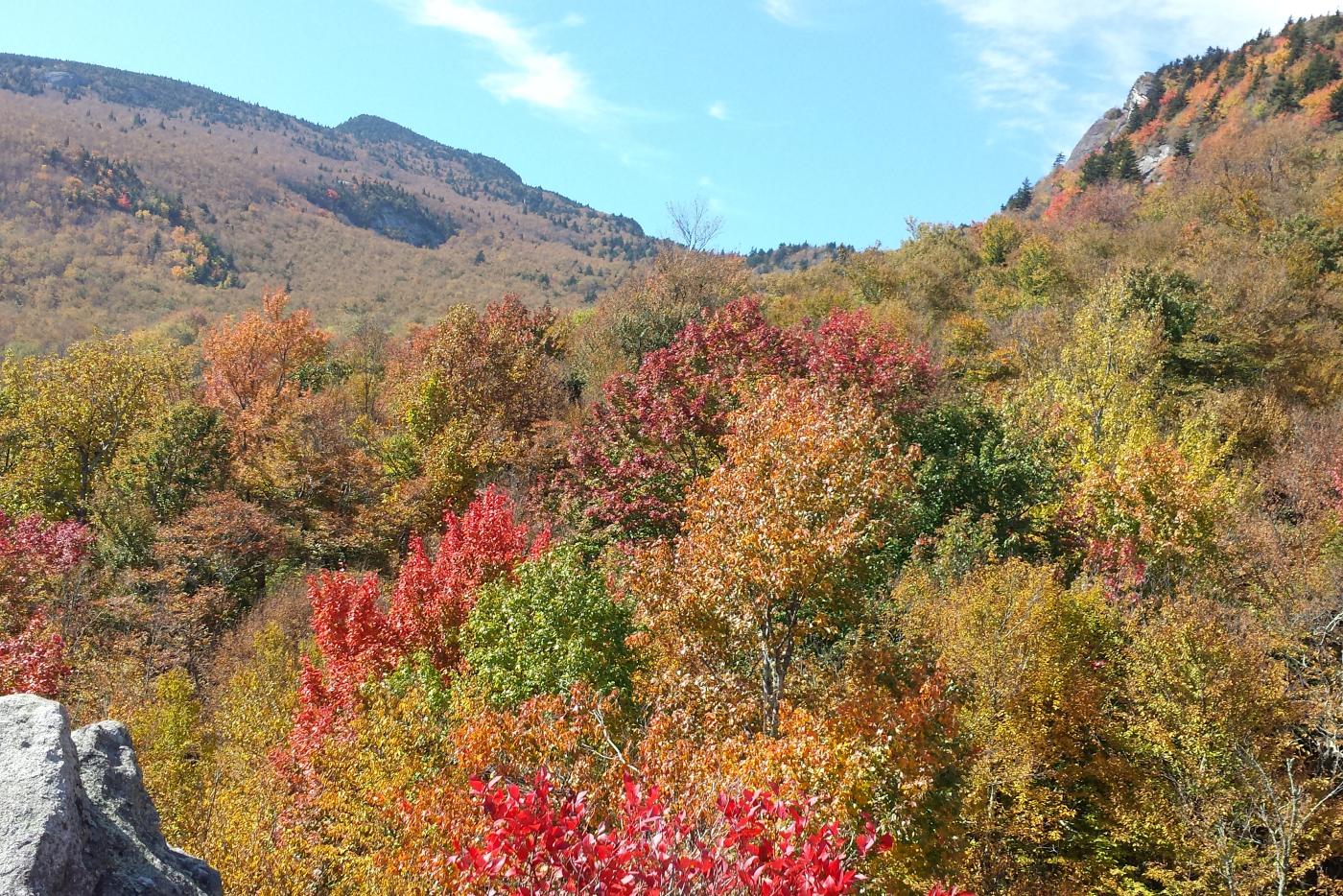 Fall color in the mountains