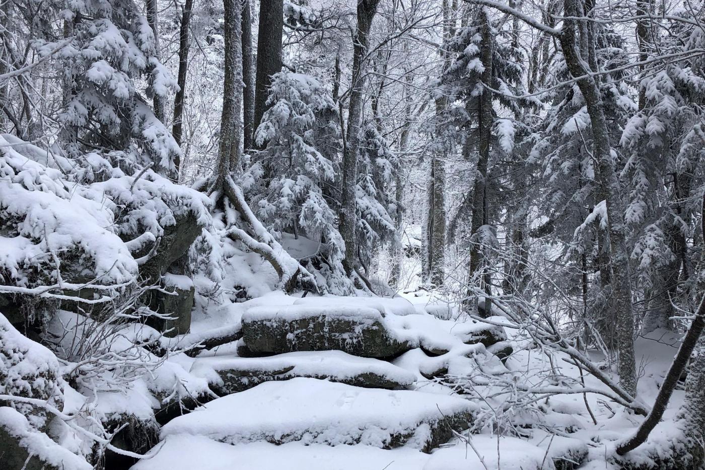 Snow covering a trail. 