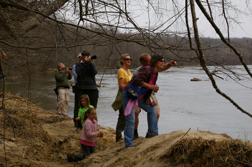 a group of people standing next to a river looking at a bird in the distance