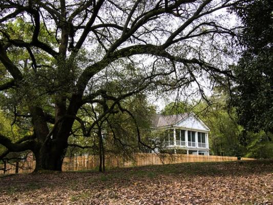 a large tree in front a picket fence and old house