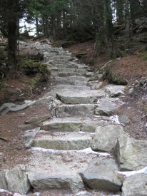 Stone steps constructed along the natural path of the Deep Gap Trail winding through a wooded area