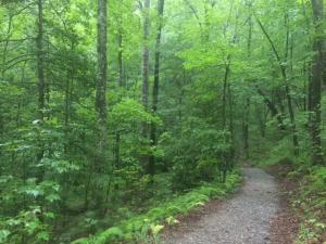 Picnic Connector Trail