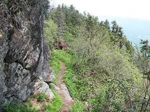 Deep Gap Trail photo showing rocky outcrops and evergreen trees