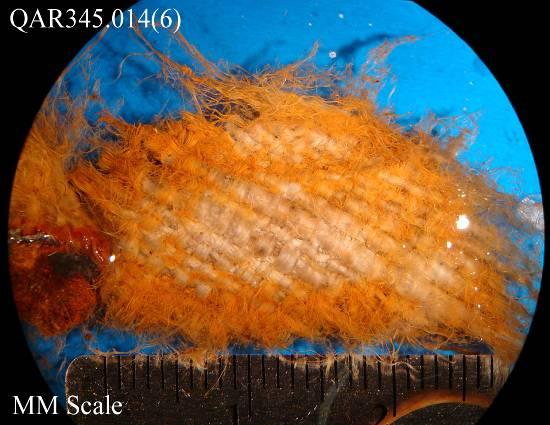 Textile Fragment QAR345.014(6) After Iron Removal with 2.5% Oxalic Acid