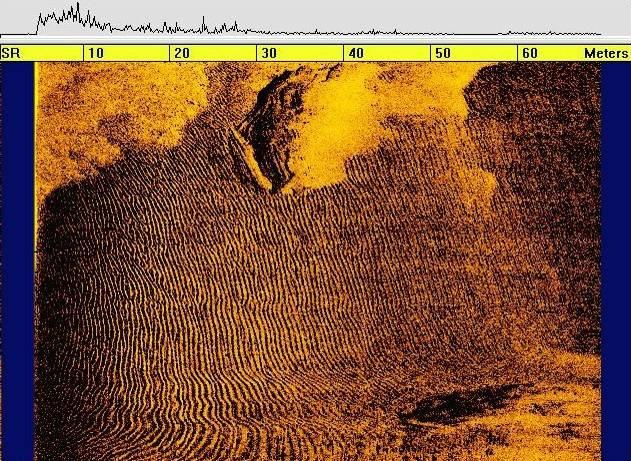 Side-Scan Sonar depiction of 0004BUI site showing a linear debris feature
