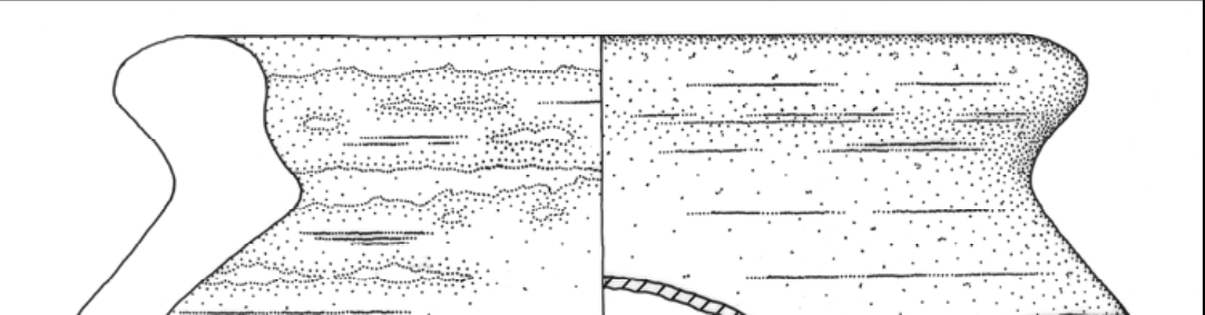 Line drawing of sherd QAR 301.001