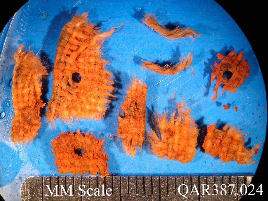 Textile Fragments with Stitching Holes and Sewing Thread