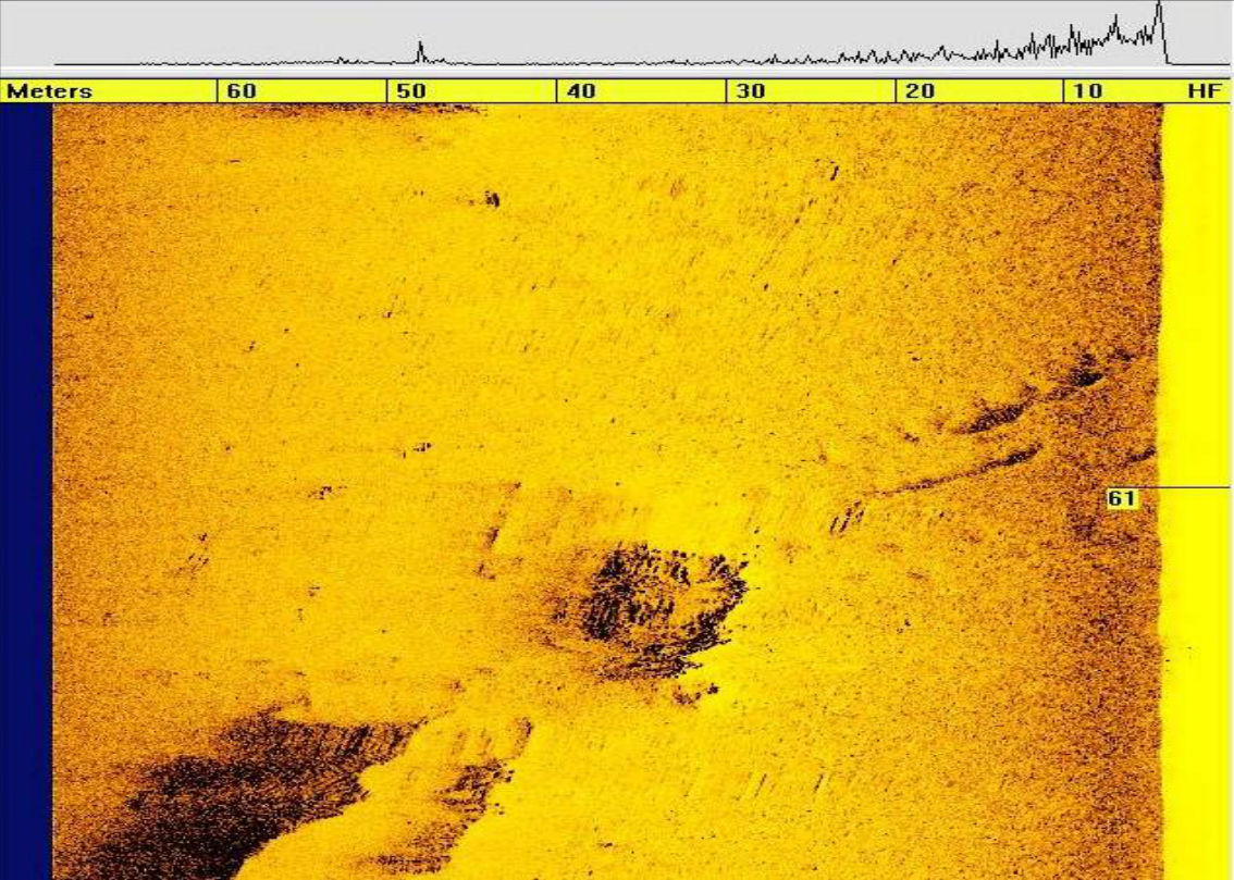 Side-Scan Sonar depiction of 0002BUI site showing a round debris field
