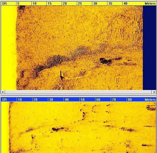 Side-Scan Sonar recording depicting the Queen Anne