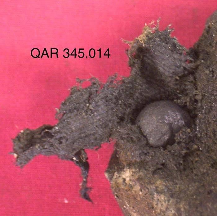 Textiles Preserved in Concretion