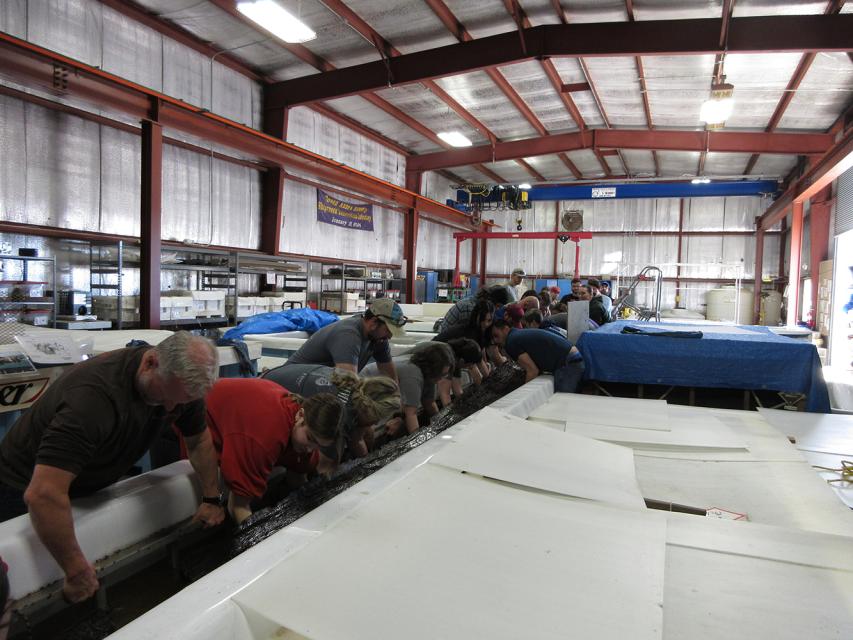 Removing the ladder from the Lake Waccamaw canoe tank