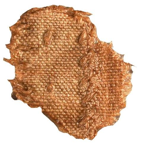 Textile artifact from Queen Anne