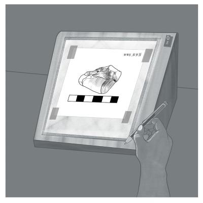 Bronte's drawing of illustration