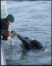 Diver in the water working with a piece of equipment