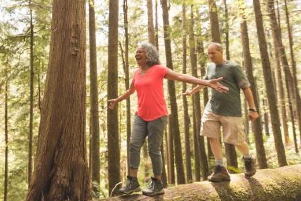 retirees hiking in the woods crossing a fallen tree