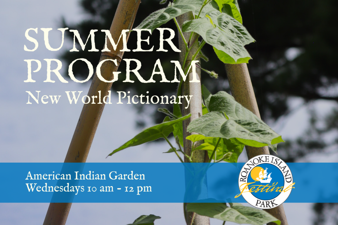 Alt text: "Poster featuring a climbing plant with a bamboo trellis, advertising 'Summer Program: New World Pictionary' at Roanoke Island Festival Park. The event is held in the American Indian Garden on Wednesdays from 10 am to 12 pm."
