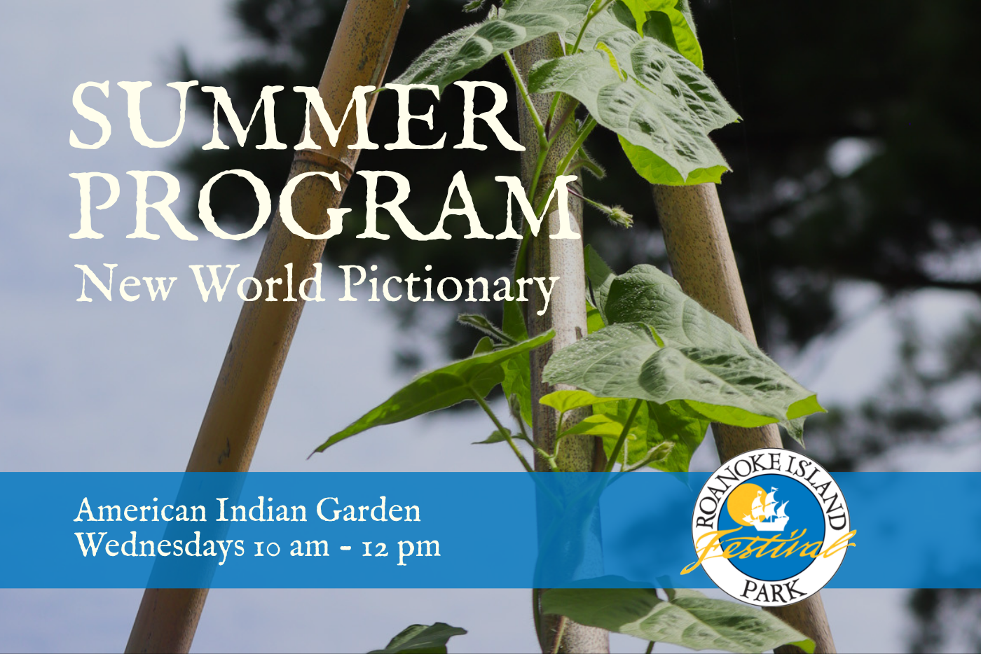 Alt text: "Poster featuring a climbing plant with a bamboo trellis, advertising 'Summer Program: New World Pictionary' at Roanoke Island Festival Park. The event is held in the American Indian Garden on Wednesdays from 10 am to 12 pm."