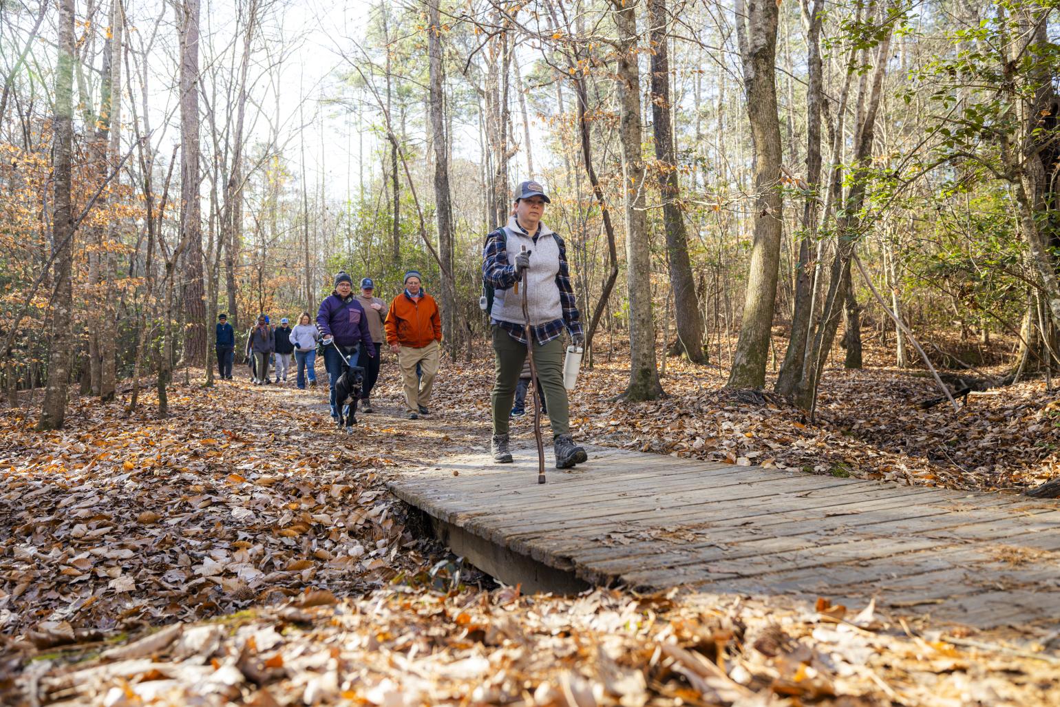 A hiker with a hiking pole crosses a boardwalk with several hikers behind her