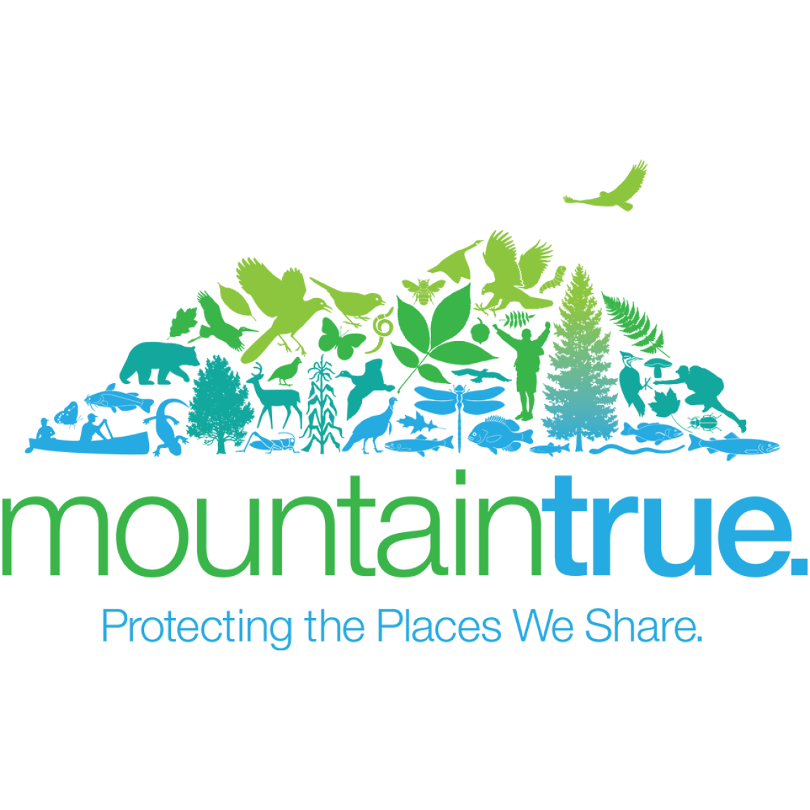 Logo of Mountain True, the partner organization for the French Broad River State Trail
