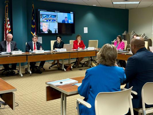 LGC questions Rocky Mount mayor and council members and staff about financial problems. 