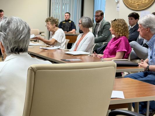 Littleton mayor and town staff speaking to LGC.